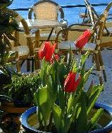 Terrazza dell'hotel